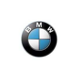 bmw logo 283